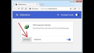 How to Fix IDM Extensions amp Not Showing On Google Chrome [upl. by Eemla]