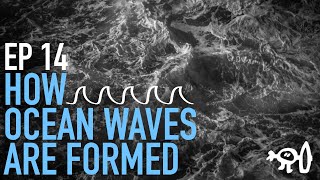 Surfing Explained Ep14 How an Ocean Wave Forms [upl. by Averat217]