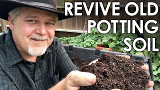 How To ReUse Old Potting Soil  4 Methods for Recycling  Black Gumbo [upl. by Dagnah]