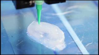 Scientists Use 3D Printer and Living quotInkquot to Create Body Parts [upl. by Akieluz]