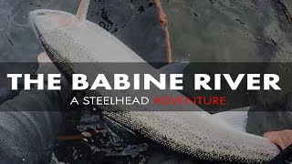 The Babine River  A Steelhead Adventure [upl. by Danelle644]