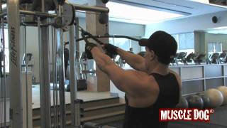 MuscleDogcom Presents Standing Cable High Row [upl. by Kenji413]