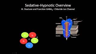 The GABA receptor  How does it work [upl. by Kcinemod]