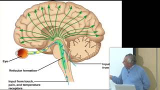 Consciousness amp Physiology I [upl. by Naryb]