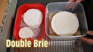 How to Make Double Brie Cheese at Home [upl. by Nnylassej]