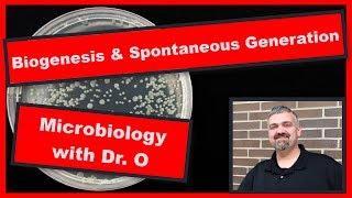 Biogenesis Versus Spontaneous Generation Microbiology [upl. by Reade]