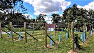 Starting a Backyard Vineyard [upl. by Macfadyn]