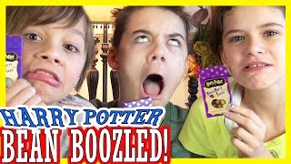 HARRY POTTER BEAN BOOZLED CHALLENGE Bertie Botts Every Flavour Beans  KITTIESMAMA [upl. by Nihcas269]