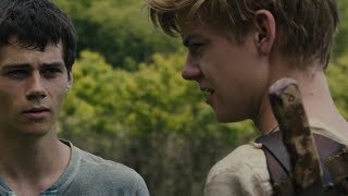 Thomas meets Newt The Maze Runner [upl. by Bunting]