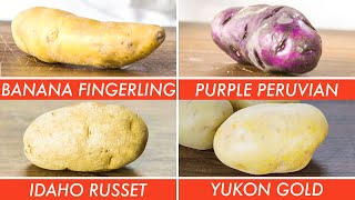 Trying Every Type Of Potato  The Big Guide  Epicurious [upl. by Aihsein]