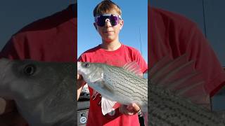 Hybrid Bass Fishing On Skiatook Lake [upl. by Adiuqal]