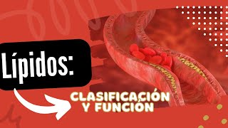 Lípidos CLASIFICACIÓN Y FUNCIÓN 🔬 [upl. by Ahseket]