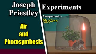 Joseph Priestley Experiment [upl. by Arodoet]