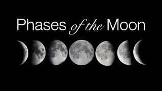 Phases and Motions of the Moon [upl. by Eslud575]