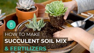 BEGINNER TIPS HOW TO MAKE SUCCULENT SOIL MIX amp NATURAL FERTILIZERS [upl. by Nibla]