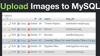 How to Insert Images to MySQL and Display Them Using PHP [upl. by Aronek]