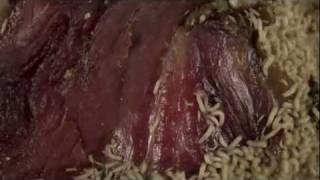 time lapse maggots eating meat HD [upl. by Affrica248]