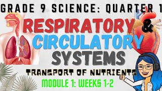 Respiratory and Circulatory Systems  Grade 9 Science Quarter 1 Lesson [upl. by Ennahgiel135]