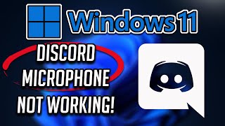 How to Fix Discord Mic Not Working Windows 11 [upl. by Jayson]