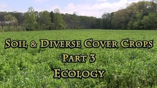 Soil amp Diverse Cover Crops Part 3 Ecology [upl. by Skyla]