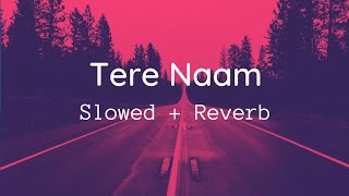 Tere Naam SlowedReverb  Alka Yagnik amp Udit Narayan [upl. by Jacinta42]