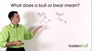 What Does a Bull and Bear Mean in the Stock Market [upl. by Kushner515]