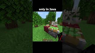 only in Java Edition 😳 minecraft shorts memes [upl. by Anileve]