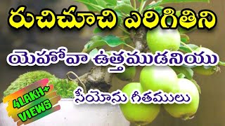 Ruchi Chuchi Yerigithini  రుచిచూచి ఏరిగితిని  Hebron Songs  Songs of Zion [upl. by Ronoel756]