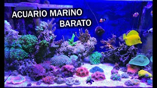 Acuario Marino Barato  Ep 01 [upl. by Camala]