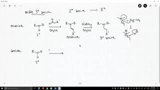 synthesis of tertiary amines [upl. by Repsag]