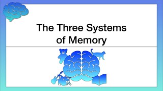 The Three Systems of Memory [upl. by Anevad321]