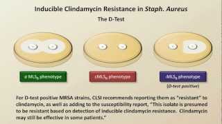 Antibiotic Resistance Antibiotics  Lecture 9 [upl. by Klehm]