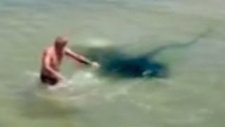 STINGRAY ATTACKS MAN  IS THIS REAL [upl. by Irollam]