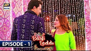 Barfi Laddu Episode 1  6th June 2019  ARY Digital Drama [upl. by Phippen491]