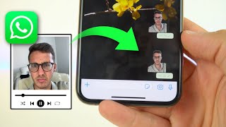 Crear STICKERS ANIMADOS en WhatsApp fácil y sin fondo ✅ [upl. by Sitnerp]