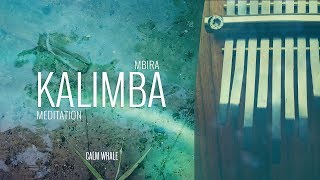 Beautiful Kalimba Meditation 3 HOURS remastered Calm Whale [upl. by Herod170]