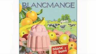 Blancmange  The Western  2011 [upl. by Aikrehs702]