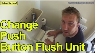 HOW TO CHANGE A PUSH BUTTON FLUSH UNIT  Plumbing Tips [upl. by Ahsenrat939]