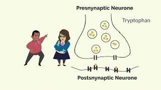 How Zoloft Sertraline Works [upl. by Howenstein]