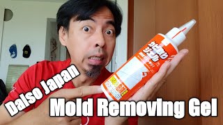 Daiso Japan Mold Removing Gel review [upl. by Notac]