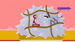 Fibrinolytics Pharmacology [upl. by Goodman]