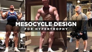 Mesocycle Design for Hypertrophy  Dr Mike Israetel [upl. by Canale912]