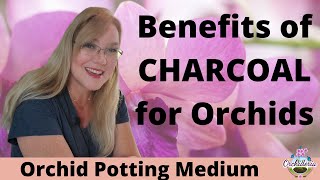 Interesting Potting Media for Orchids That Works [upl. by Reinar892]