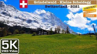 Grindelwald  Kleine Scheidegg Switzerland Train Journey Jungfraujoch Series  5K UHD Video [upl. by Hazelton]