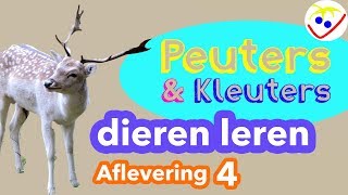 Dierennamen  Eerste Woordjes  Dieren Leren Aflevering 4 Peuters en Kleuters [upl. by Rizzo]