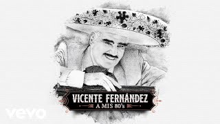 Vicente Fernández  Se Me Olvidó Otra Vez Cover Audio [upl. by Freed711]