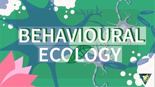 ًWhat is Behavioural Ecology [upl. by Rennold]