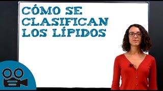 Cómo se clasifican los lípidos [upl. by Haceber]