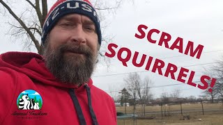 Squirrel Deterrents What Really Works [upl. by Faun]