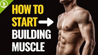 How To Start Building Muscle For Beginners [upl. by Gerlac276]